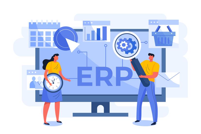 ERP Development